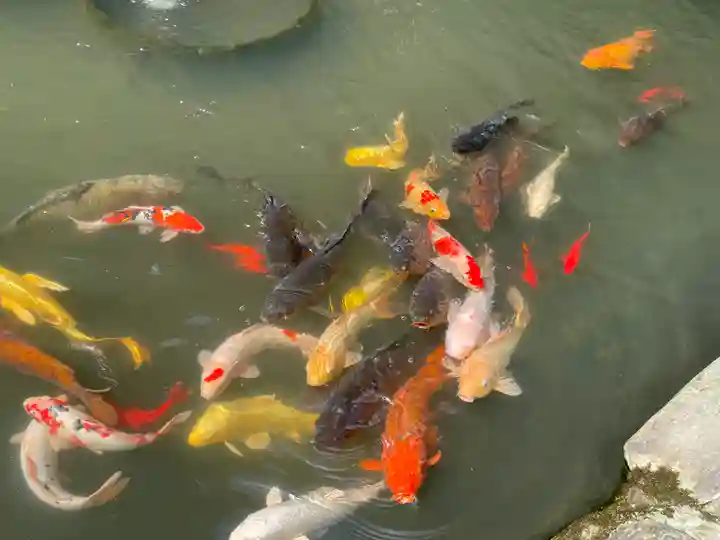 熊野大社(島根県)