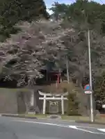 日枝神社の鳥居