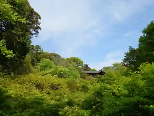 東福禅寺（東福寺）(京都府)
