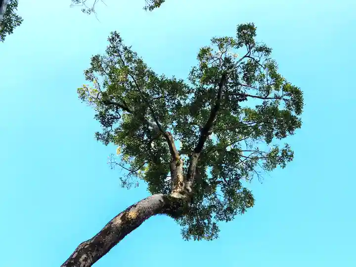 福良天満宮の自然