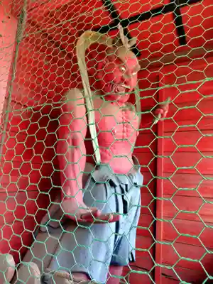 長谷寺(白岩観音)(群馬県)