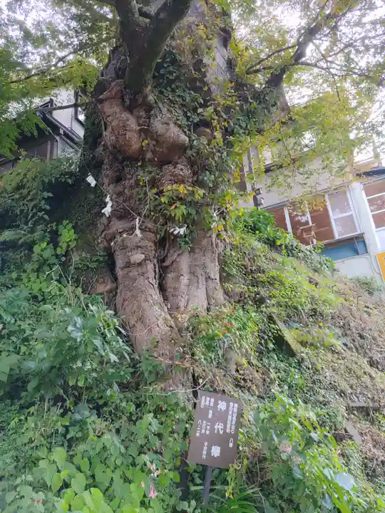 武蔵御嶽神社(東京都)