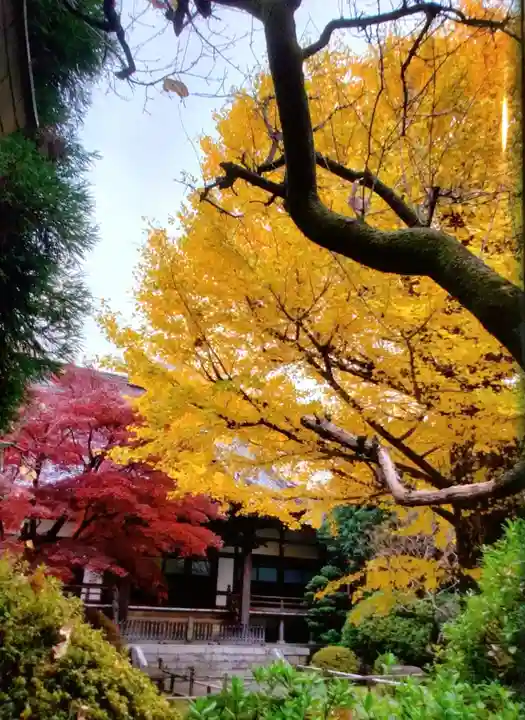 高円寺(東京都)