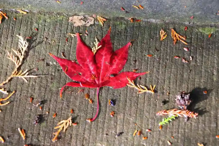 豊景神社(福島県)