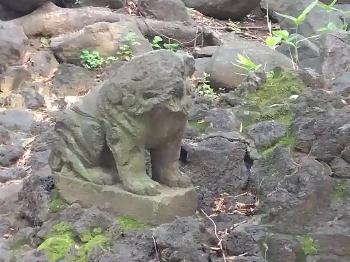 鳩森八幡神社の狛犬