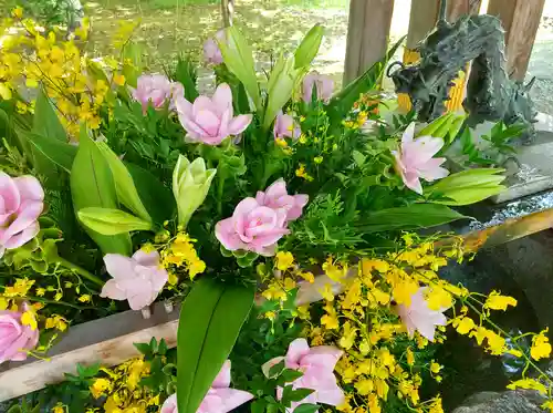 彌彦神社　(伊夜日子神社)の手水舎