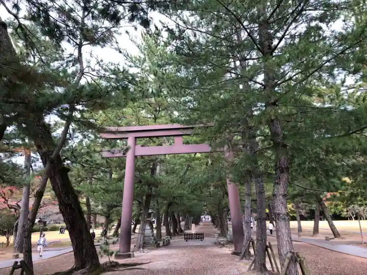 出雲大社(島根県)