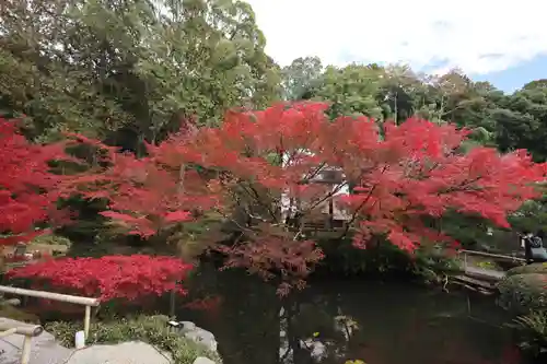 くろ谷 金戒光明寺(京都府)
