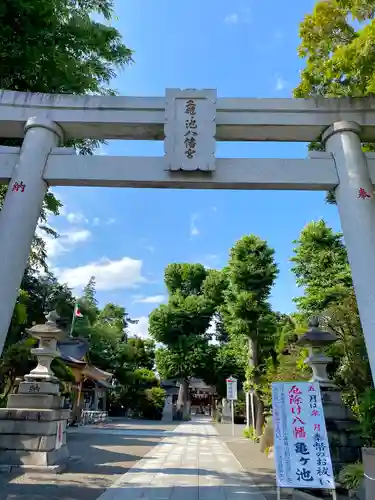 亀ケ池八幡宮の鳥居