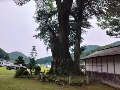 天引八幡神社(京都府)