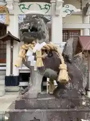 武雄神社の狛犬