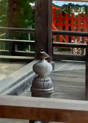 蚊里田八幡宮(長野県)