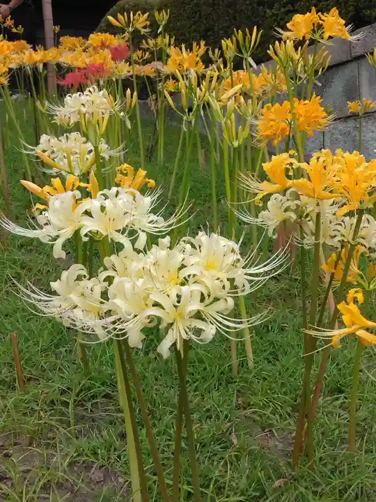 横浜 西方寺(神奈川県)