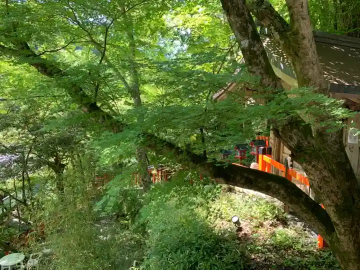 貴船神社の自然