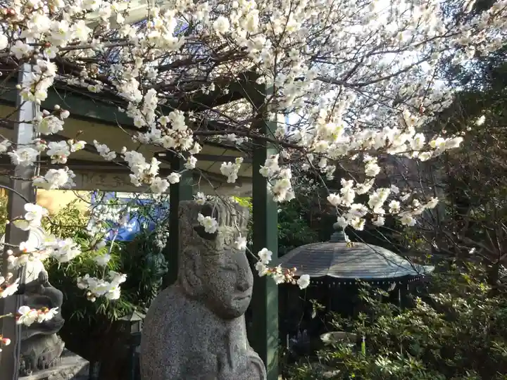 玉眞院玉川大師の自然