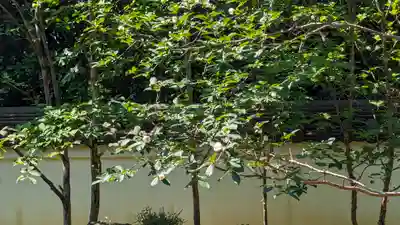 東林院(京都府)