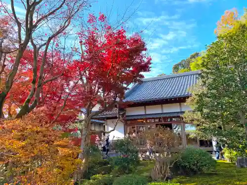 華厳寺（鈴虫寺）(京都府)