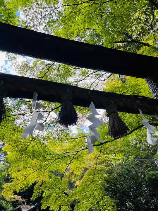野宮神社(京都府)