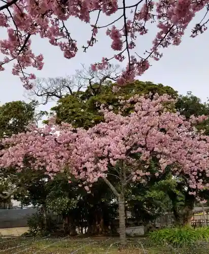 江島神社の庭園