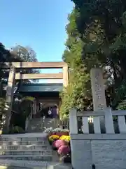 東京大神宮の鳥居