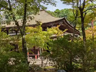 法界寺(日野薬師)(京都府)