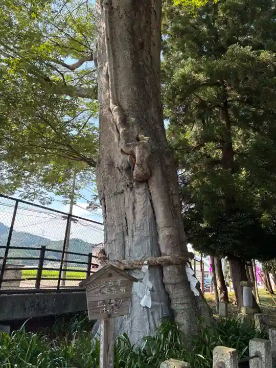 智賀都神社(栃木県)