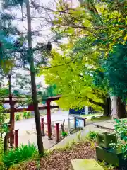 蛟蝄神社門の宮(茨城県)