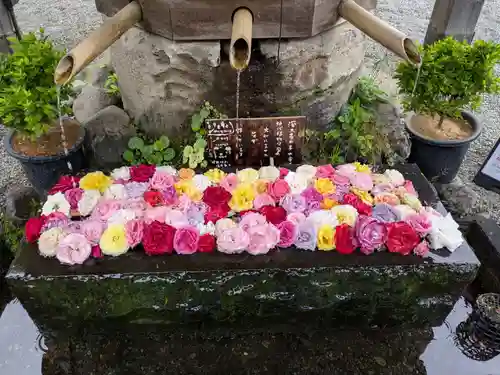 深大寺(東京都)