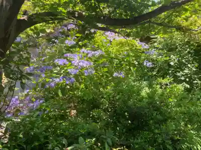 寶安寺（宝安寺）(神奈川県)
