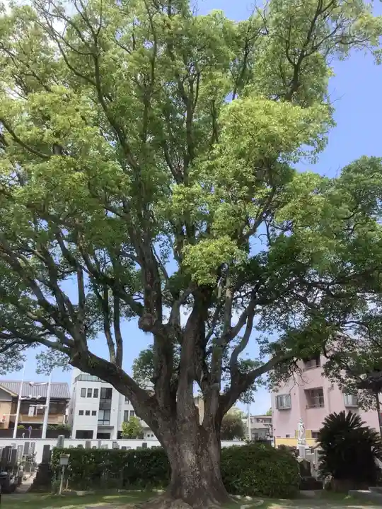 長全寺(愛知県)