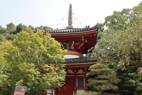 温泉山 安楽寺(四国霊場第六番札所)の建物その他