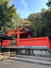 春日若宮神社(奈良県)