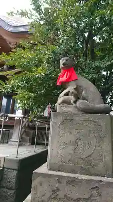 池尻稲荷神社の狛犬