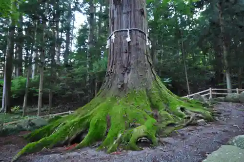 河口浅間神社(山梨県)