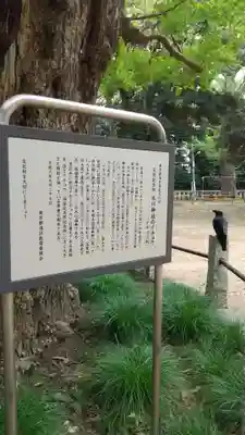 赤坂氷川神社の歴史