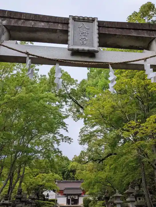 壺井八幡宮(大阪府)