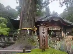 北口本宮冨士浅間神社(山梨県)