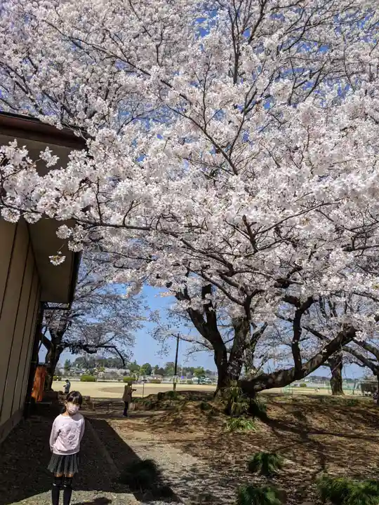 東蕗田天満社の自然