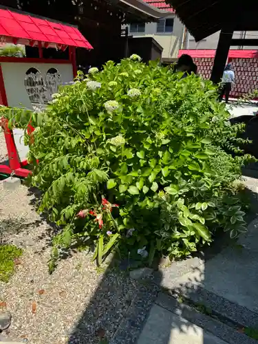三輪神社(愛知県)