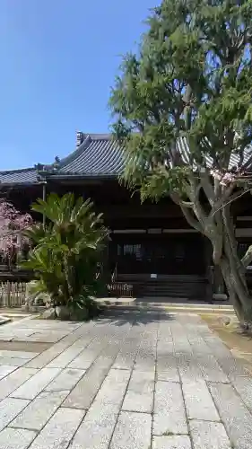 光明寺の{uncategorized: "未分類", other: "その他", undefined: "問題あり", building: "その他建物", grave: "お墓", sacred_gate: "鳥居", guardian: "狛犬", statue: "像", buddha: "仏像", history: "歴史", nature: "自然", garden: "庭園", animal: "動物", pagoda: "塔", temizu: "手水舎", mountain_gate: "山門・神門", sanctuary: "本殿・本堂", subordinate: "末社・摂社", art: "芸術", scenery: "景色", jizo: "地蔵", ema: "絵馬", goshuin: "御朱印", omikuji: "おみくじ", items: "授与品その他", amulet: "お守り", goshuincho: "御朱印帳", eats: "食事", festival: "お祭り", votive_dance: "神楽", shichigosan: "七五三参", wedding: "結婚式", experience: "体験その他", initially: "初詣", around: "周辺", anti_infection: "感染症対策"}