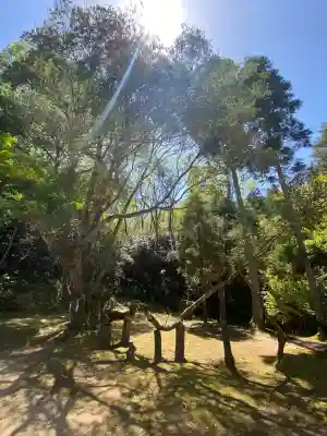 向日神社の{uncategorized: "未分類", other: "その他", undefined: "問題あり", building: "その他建物", grave: "お墓", sacred_gate: "鳥居", guardian: "狛犬", statue: "像", buddha: "仏像", history: "歴史", nature: "自然", garden: "庭園", animal: "動物", pagoda: "塔", temizu: "手水舎", mountain_gate: "山門・神門", sanctuary: "本殿・本堂", subordinate: "末社・摂社", art: "芸術", scenery: "景色", jizo: "地蔵", ema: "絵馬", goshuin: "御朱印", omikuji: "おみくじ", items: "授与品その他", amulet: "お守り", goshuincho: "御朱印帳", eats: "食事", festival: "お祭り", votive_dance: "神楽", shichigosan: "七五三参", wedding: "結婚式", experience: "体験その他", initially: "初詣", around: "周辺", anti_infection: "感染症対策"}