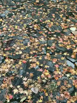 宇佐神宮(大分県)