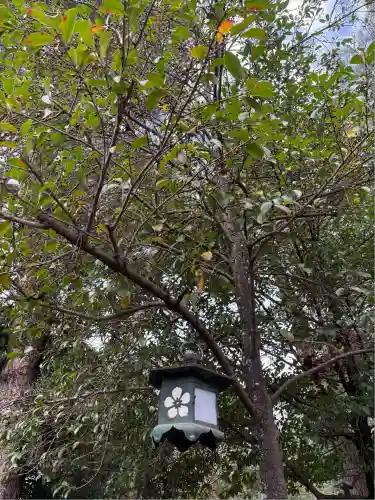 櫻木神社(千葉県)