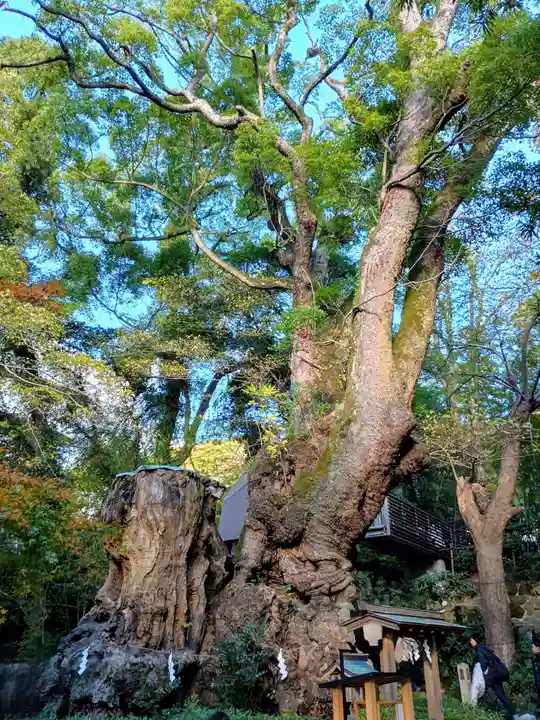 湯前神社(静岡県)