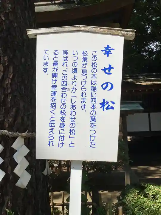 前鳥神社(神奈川県)