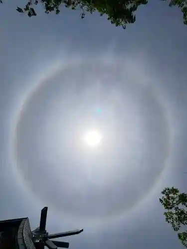 高泊神社(山口県)