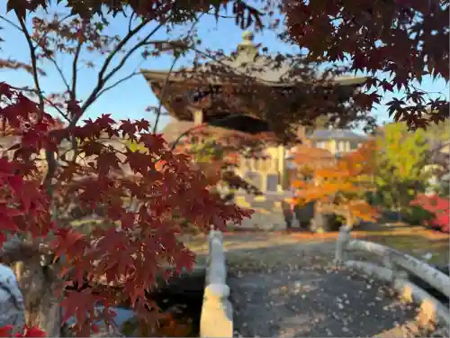 誕生寺(岡山県)