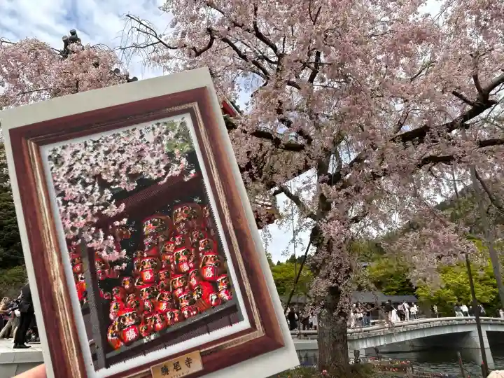 勝尾寺の{uncategorized: "未分類", other: "その他", undefined: "問題あり", building: "その他建物", grave: "お墓", sacred_gate: "鳥居", guardian: "狛犬", statue: "像", buddha: "仏像", history: "歴史", nature: "自然", garden: "庭園", animal: "動物", pagoda: "塔", temizu: "手水舎", mountain_gate: "山門・神門", sanctuary: "本殿・本堂", subordinate: "末社・摂社", art: "芸術", scenery: "景色", jizo: "地蔵", ema: "絵馬", goshuin: "御朱印", omikuji: "おみくじ", items: "授与品その他", amulet: "お守り", goshuincho: "御朱印帳", eats: "食事", festival: "お祭り", votive_dance: "神楽", shichigosan: "七五三参", wedding: "結婚式", experience: "体験その他", initially: "初詣", around: "周辺", anti_infection: "感染症対策"}
