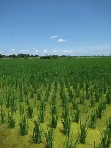 神明神社(千葉県)