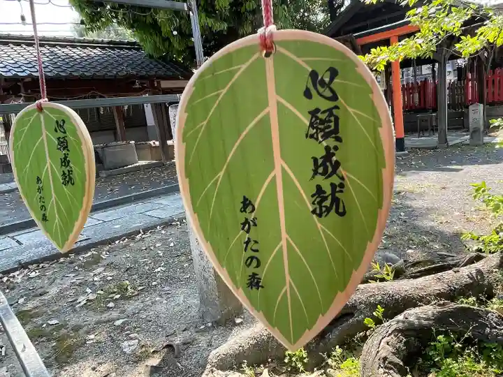 縣神社(京都府)